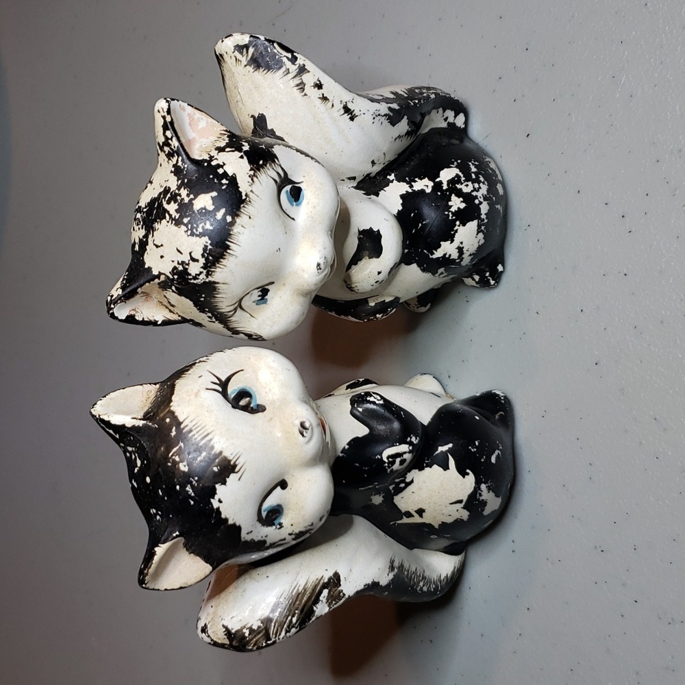 Vintage Skunk 🦨 Salt & Pepper shaker set